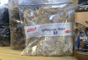 Sphagnum moss & coco peat