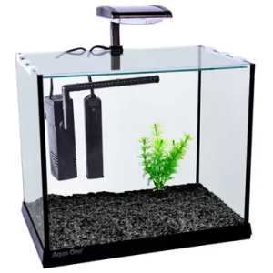 aqua one oasis betta aquarium