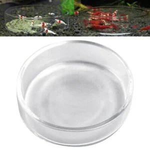 small glass shrimp food bowl